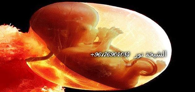 صورة علاج انقلاب الرحم عند المرأة بسبب التابعة-رقم شيخة روحانية 0096176904084